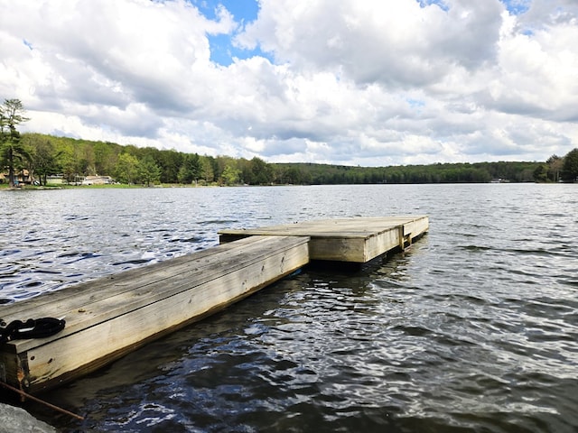 118 Milton Ln, Warren Center, PA 18851 - dock with a water view and a forest view