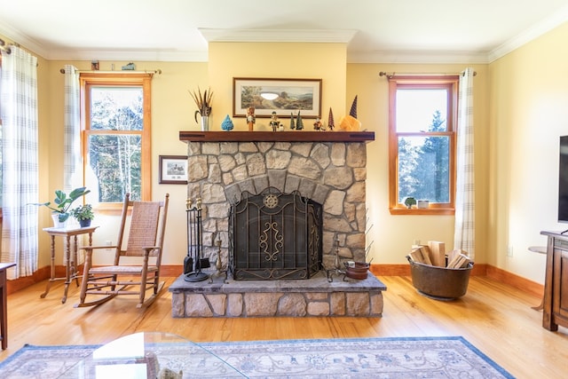 living area with hardwood / wood-style flooring, a healthy amount of sunlight, and a stone fireplace