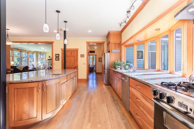 kitchen with light stone countertops, pendant lighting, stainless steel appliances, and light hardwood / wood-style flooring