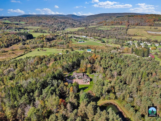 aerial view with a mountain view