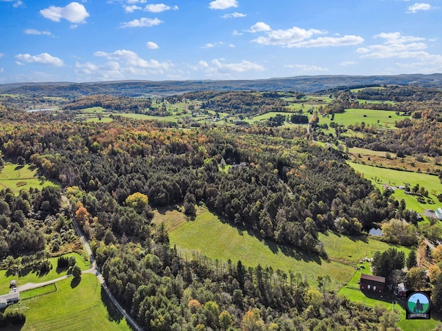 aerial view with a rural view