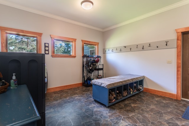 mudroom featuring ornamental molding