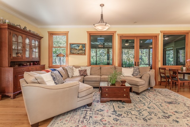 living room featuring crown molding, plenty of natural light, and light hardwood / wood-style floors