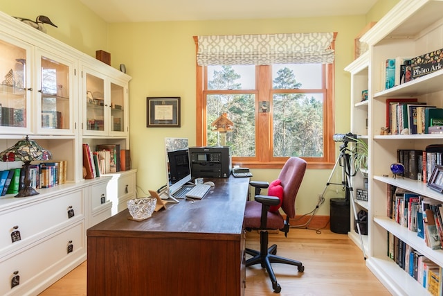 office area featuring light hardwood / wood-style flooring