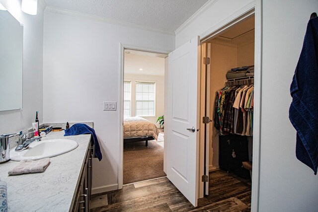 bathroom featuring wood finished floors, vanity, crown molding, a spacious closet, and a textured ceiling