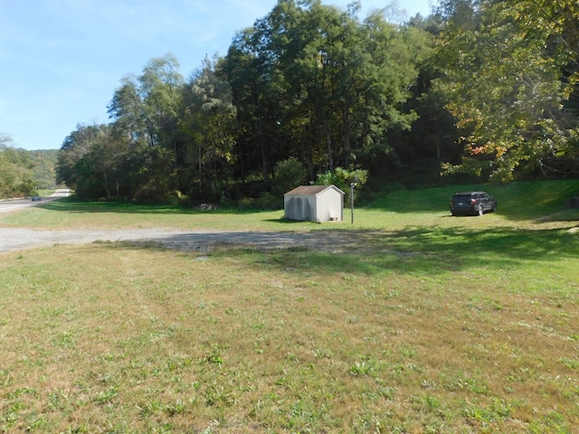 view of yard with a storage shed