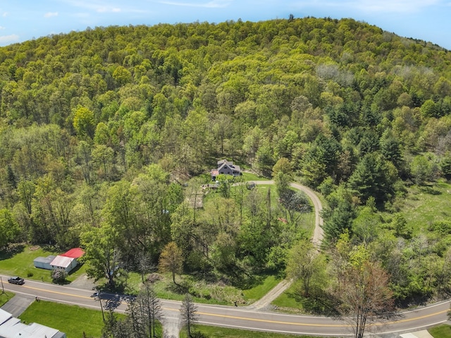 543 Drybrook Rd, Waverly, NY 14892 - bird's eye view of a heavily wooded area