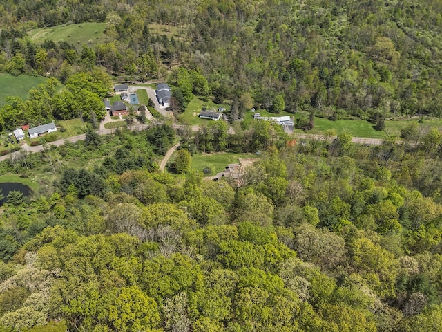 543 Drybrook Rd, Waverly, NY 14892 - aerial overview of property's location with a forest