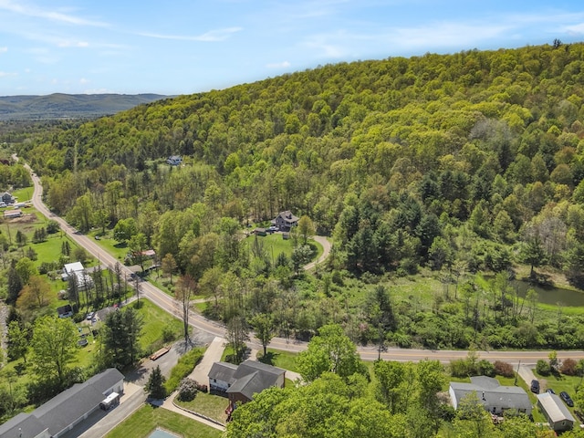 543 Drybrook Rd, Waverly, NY 14892 - aerial view of property's location with a forest