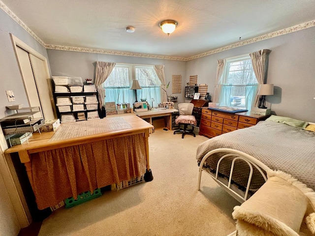 view of carpeted bedroom