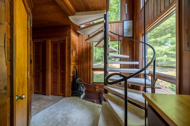 stairway featuring carpet floors and wooden walls