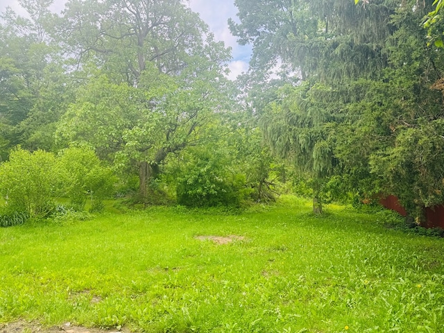 96 E St, Towanda, PA 18848 - view of yard