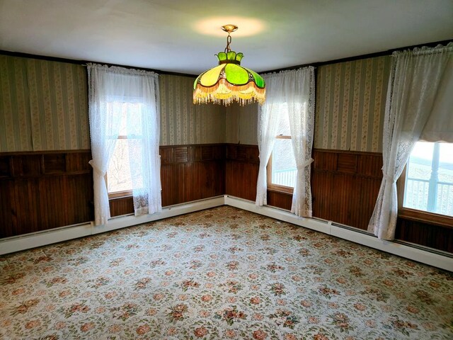 171 Gaylord St, Wyalusing, PA 18853 - photo 32