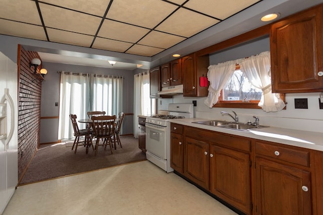 kitchen with sink, a paneled ceiling, and white appliances