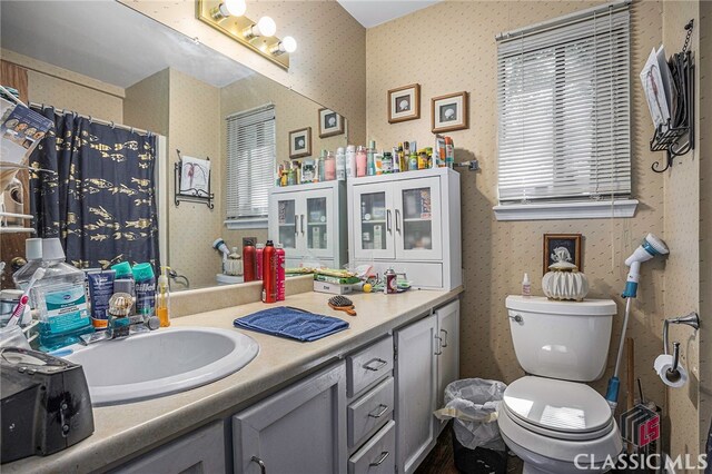 bathroom with toilet and vanity