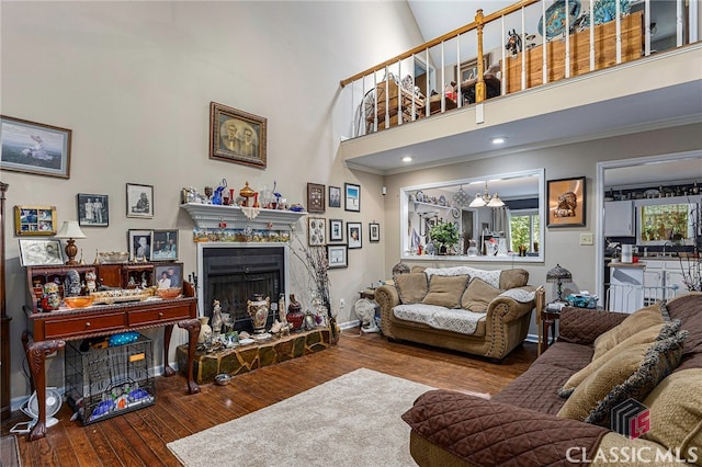 living room featuring dark wood-type flooring and a high ceiling