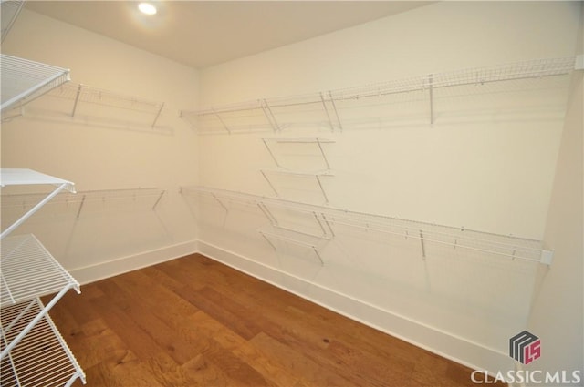 walk in closet featuring wood-type flooring