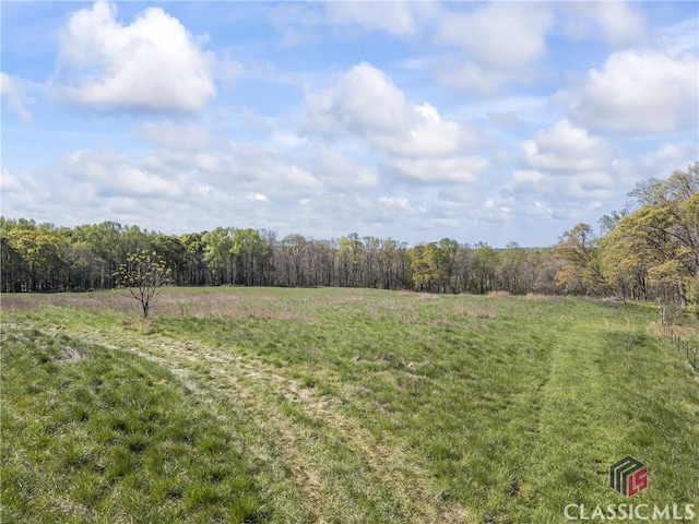 view of yard featuring a rural view