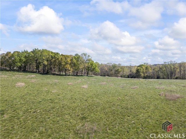 view of yard with a rural view