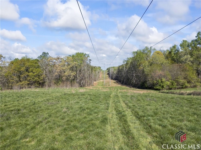 view of yard with a rural view