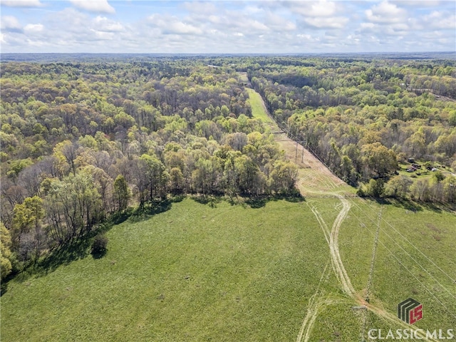 view of bird's eye view