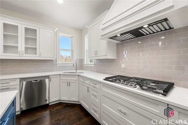 kitchen featuring backsplash, stainless steel appliances, custom exhaust hood, sink, and dark hardwood / wood-style flooring