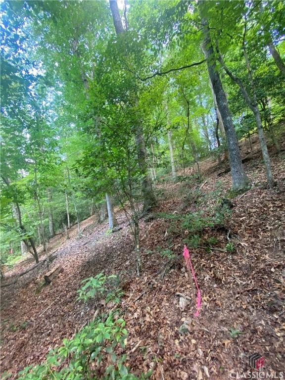 Listing photo 3 for 0 Hiawassee, Ellijay GA 30540