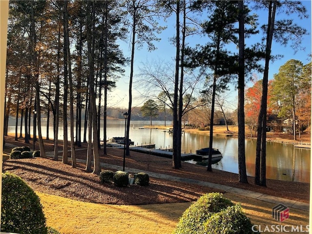 surrounding community featuring a water view and a dock