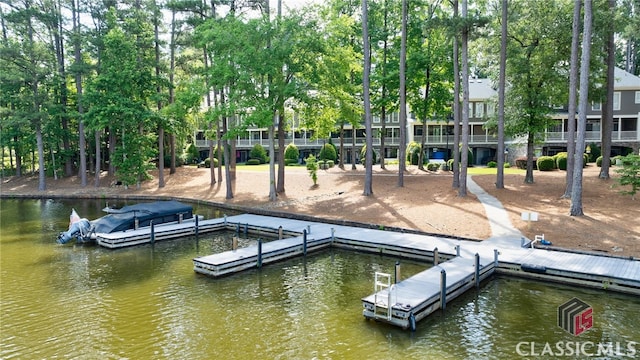 dock area with a water view