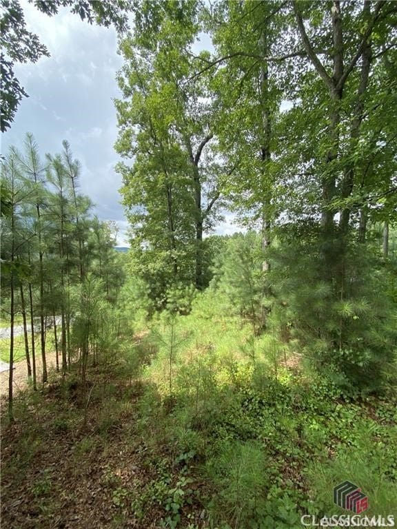 Listing photo 2 for 0A Katherine Rd, Blairsville GA 30512