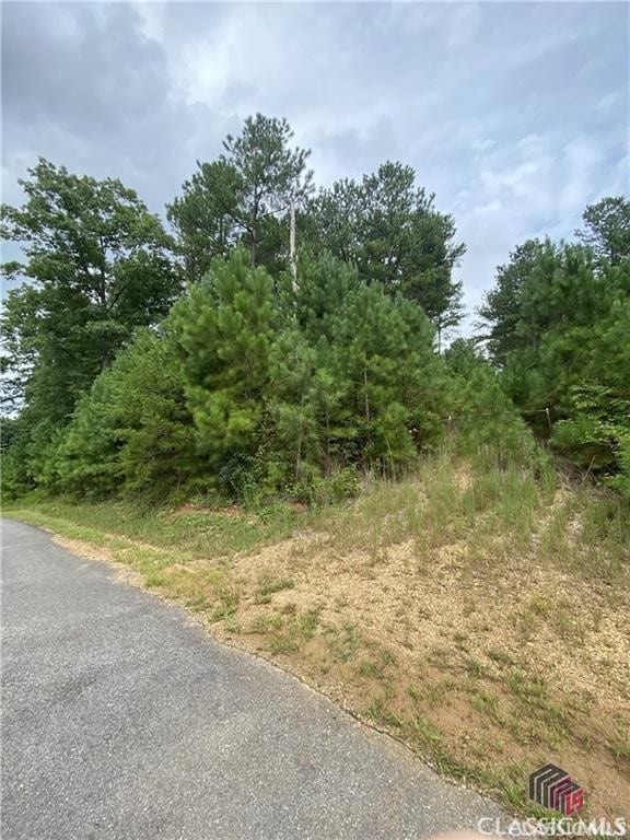 Listing photo 3 for 0A Katherine Rd, Blairsville GA 30512