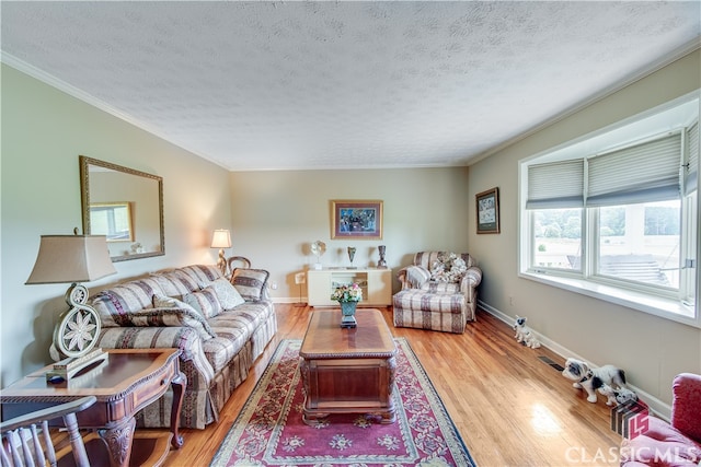 living room featuring hardwood / wood-style floors, a textured ceiling, and crown molding