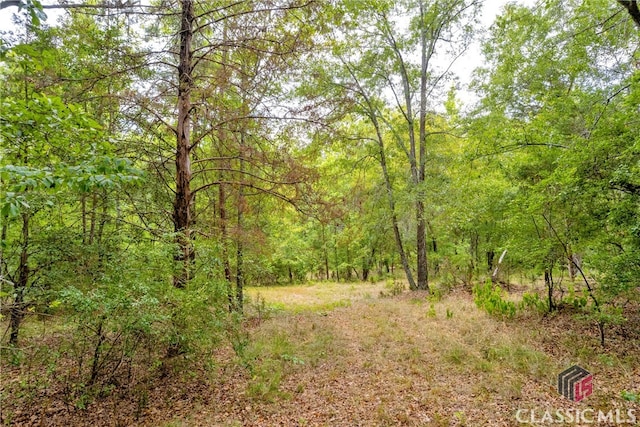 view of local wilderness featuring a view of trees