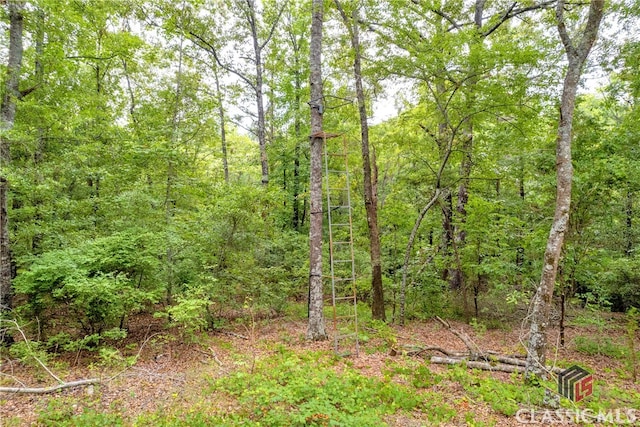 view of landscape featuring a wooded view