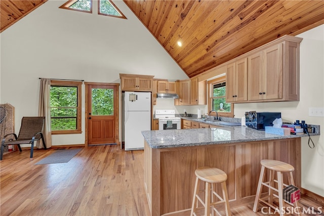 kitchen with a sink, under cabinet range hood, high vaulted ceiling, a peninsula, and white appliances