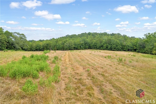 view of landscape featuring a rural view and a forest view