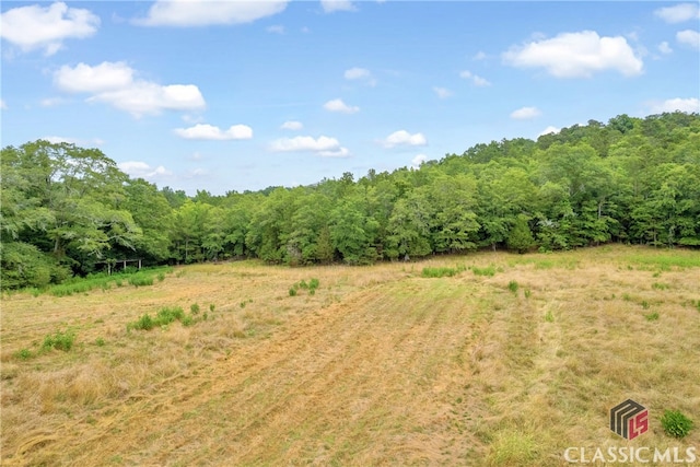 view of nature with a rural view and a forest view