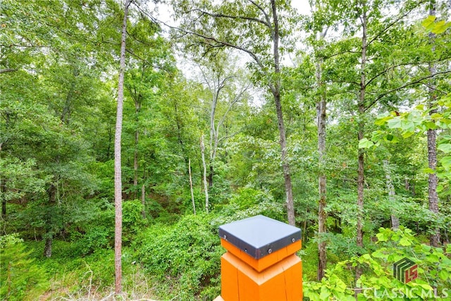 view of yard featuring a forest view