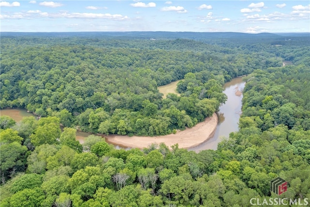 birds eye view of property with a water view and a forest view