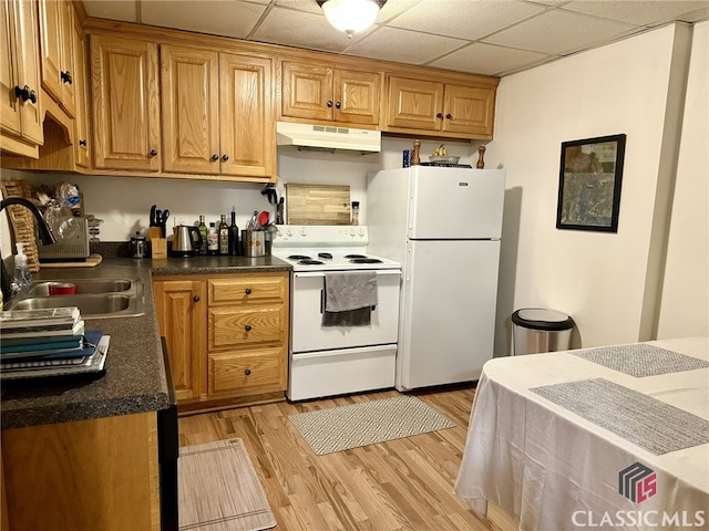 kitchen featuring white appliances, light hardwood / wood-style floors, a drop ceiling, and sink