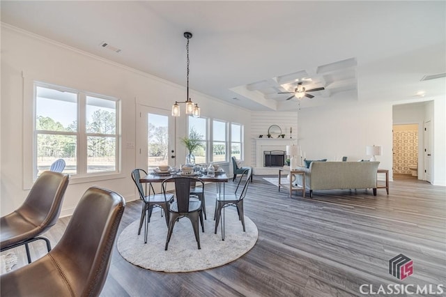 dining area with french doors, ceiling fan, wood-type flooring, and a raised ceiling