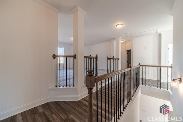 hall featuring crown molding and dark hardwood / wood-style floors