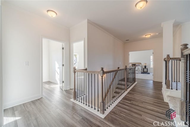 hallway with wood-type flooring and crown molding