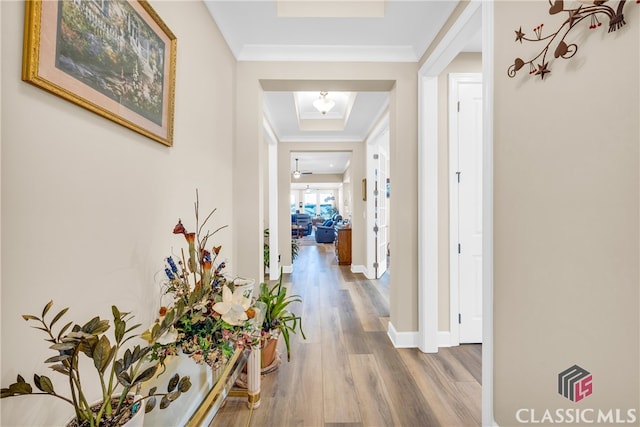 hallway with a raised ceiling and hardwood / wood-style flooring