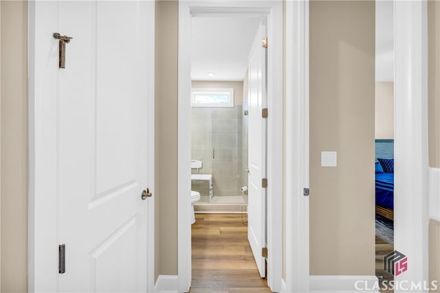 hall with light hardwood / wood-style floors