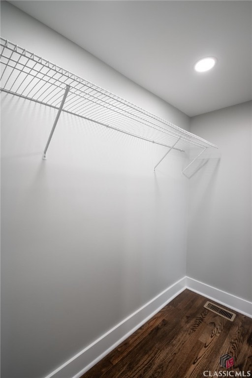 spacious closet featuring dark wood-type flooring