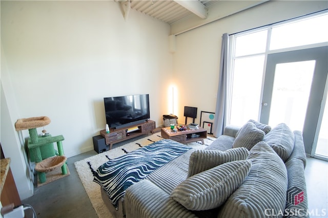 carpeted living room featuring beam ceiling