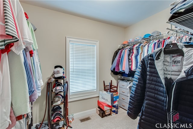 walk in closet with carpet floors