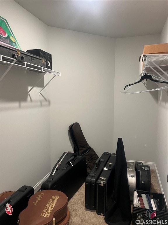 spacious closet with carpet floors