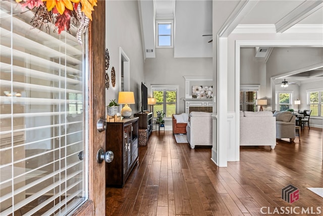 foyer featuring dark wood-type flooring, plenty of natural light, ornamental molding, and ceiling fan